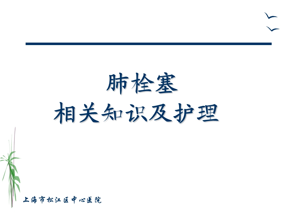 肺栓塞的治疗与护理.ppt_第1页