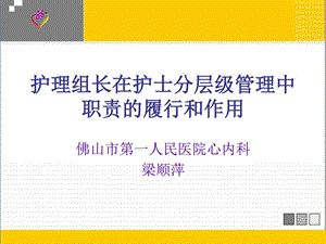 护理组长在护士分层级治理中图文[指南].ppt