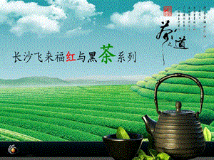 茶系列礼品红茶黑茶礼品介绍PPT.ppt