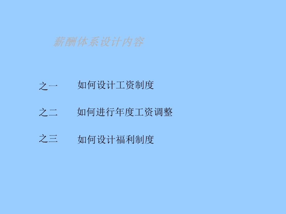 【人力资源管理培训】薪酬设计方案.ppt_第2页