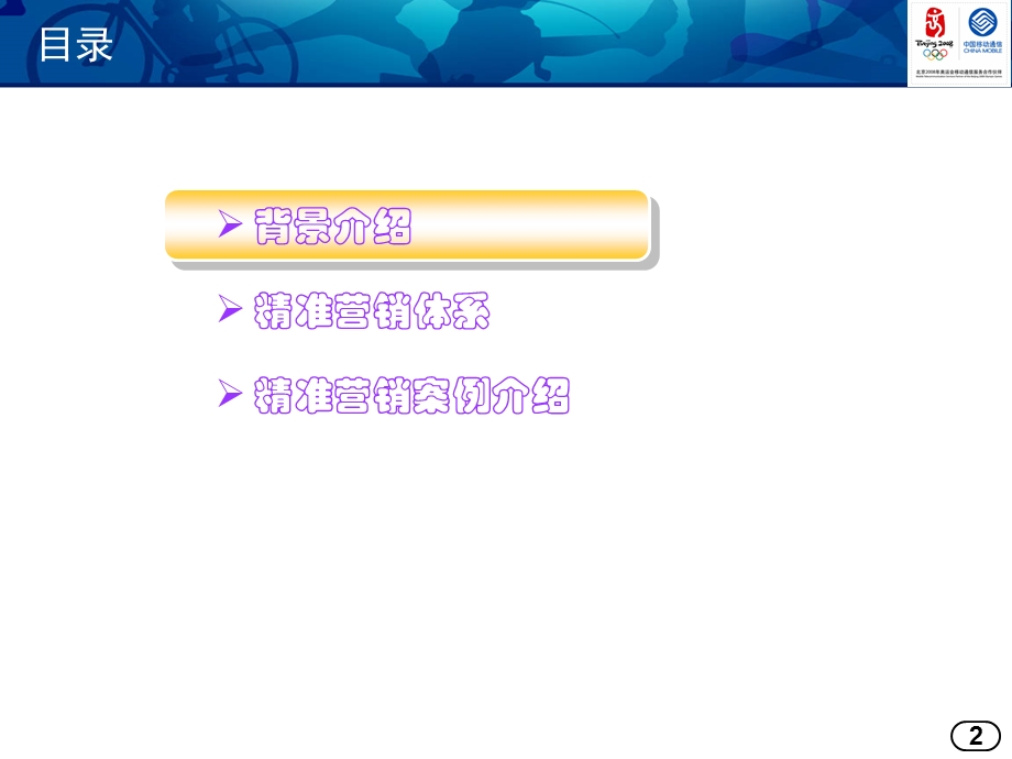黑龙江移动精准营销管理体系案例.ppt_第2页