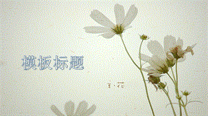 PPT模板-夏花.ppt