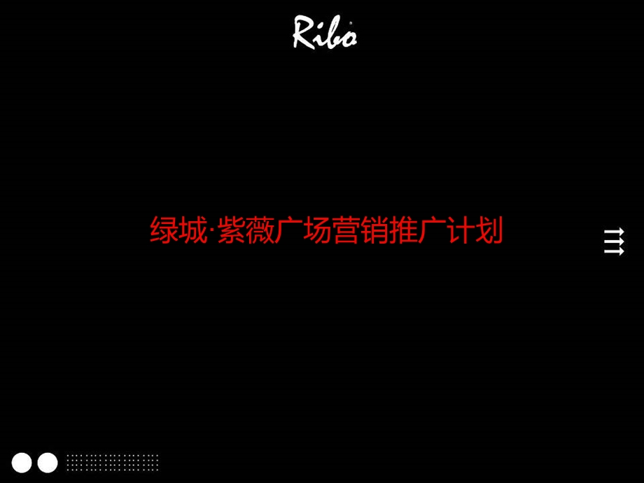 世纪瑞博绿城营销推广计划.ppt_第2页