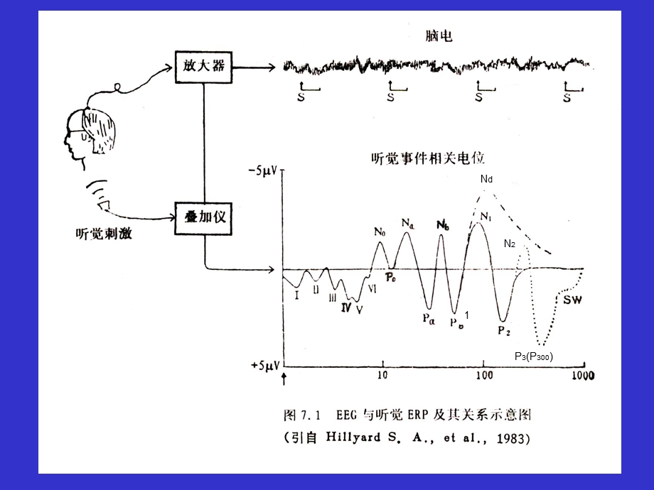 ERP技术原理培训PPT.ppt_第3页