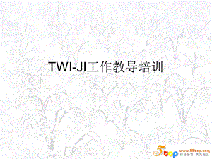 TWIJI工作教导培训.ppt