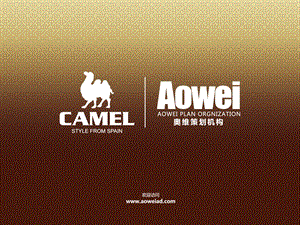 【广告策划PPT】骆驼Camel品牌管理.ppt