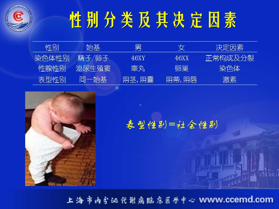 GnRH脉冲泵有效性和安全性研究伦理(孙首悦)..ppt_第3页