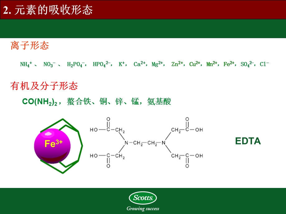 植物对氮磷钾的吸收.ppt_第1页