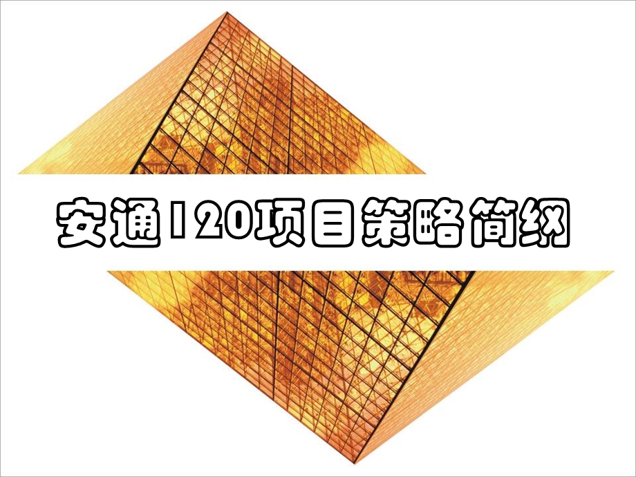 安通120项目策略简纲.ppt_第1页