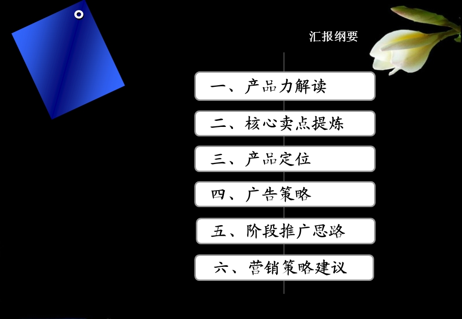 2010年万科金域华庭整合营销推广策略150p.ppt_第2页