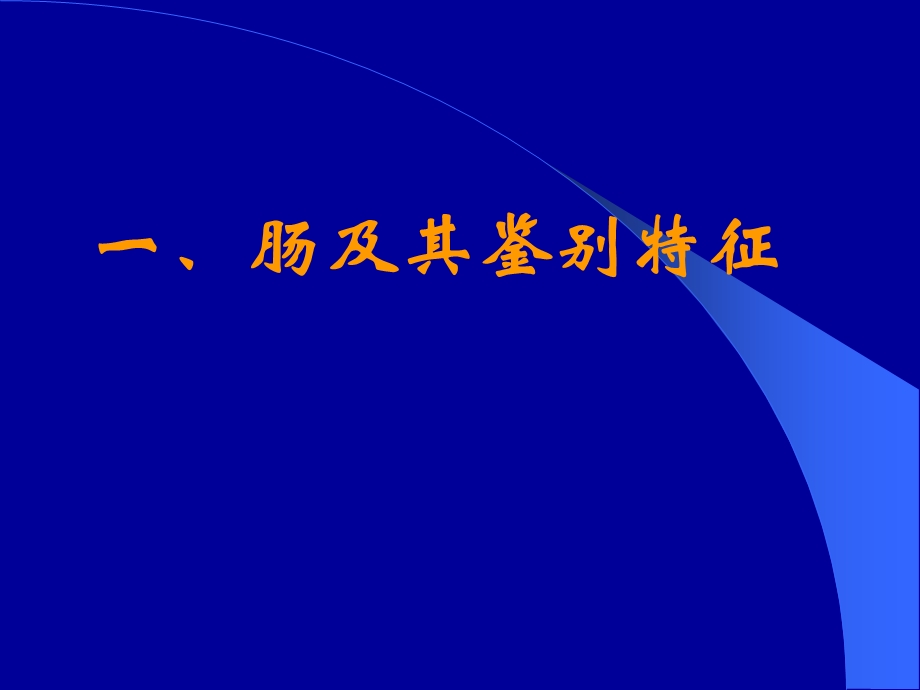 中、下腹部脏器的应用解剖.ppt_第3页