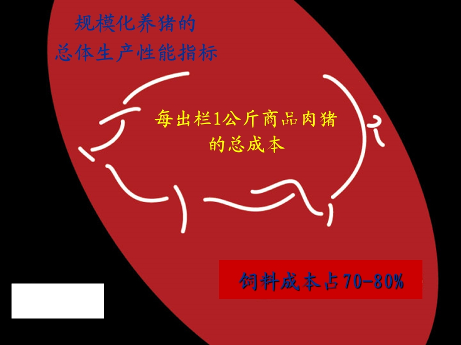 规模化养猪饲料营养高效配制策略及降低饲料成本技术.ppt_第3页