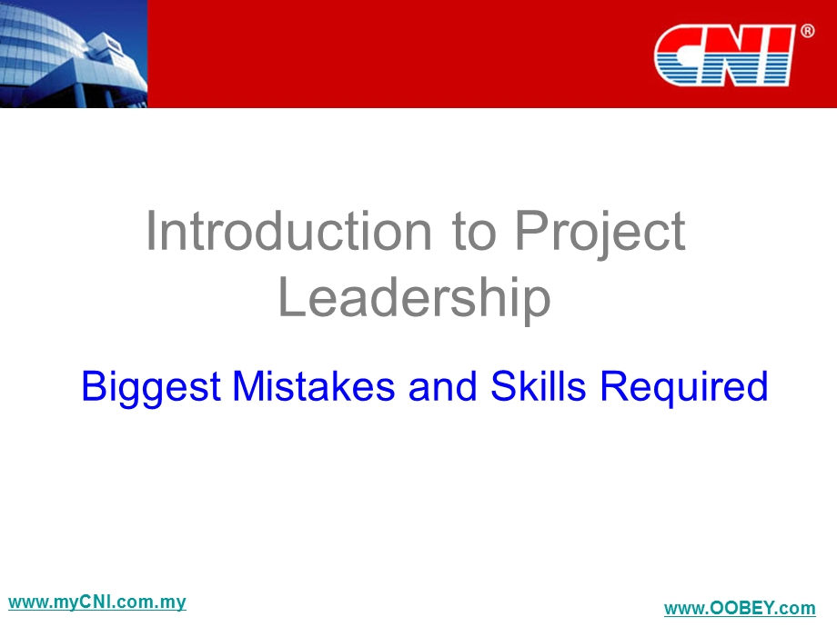 CRITERIA OF A SUCCESSFUL PROJECT LEADER.ppt_第3页