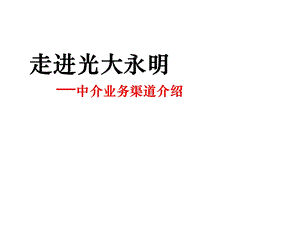 人寿公司介绍银行保险中介渠道介绍.ppt