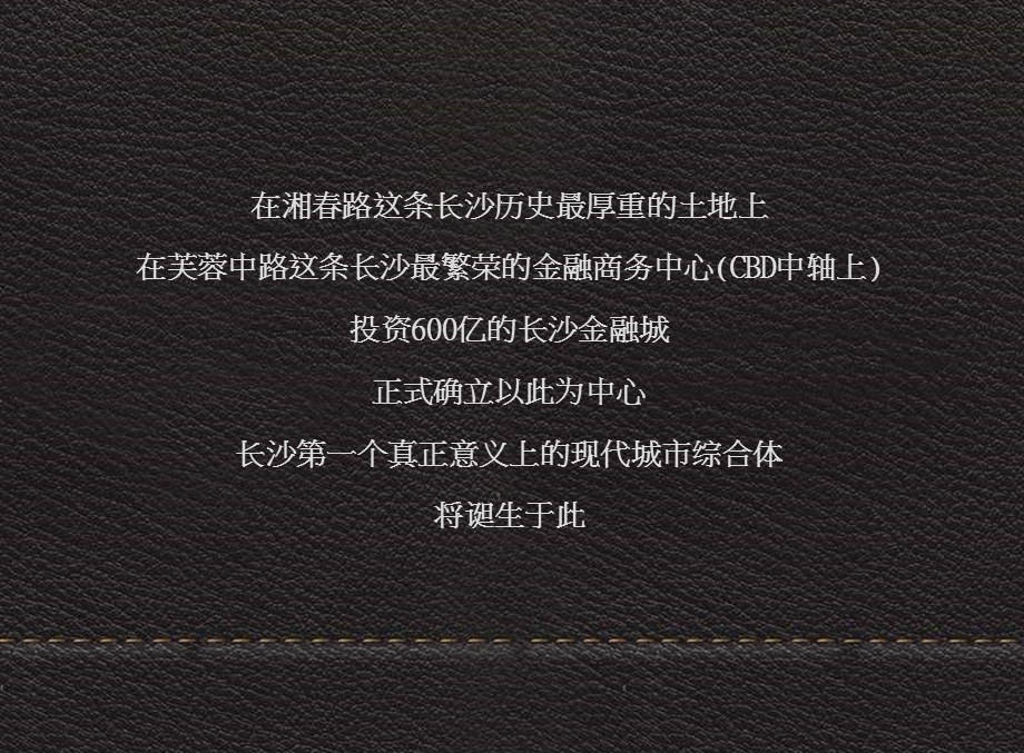 长沙珈鼎国际CBD写字楼项目整合推广策略案-129PPT-2008年10月.ppt_第2页