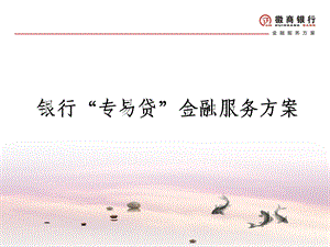 银行“专易贷”金融服务方案.ppt