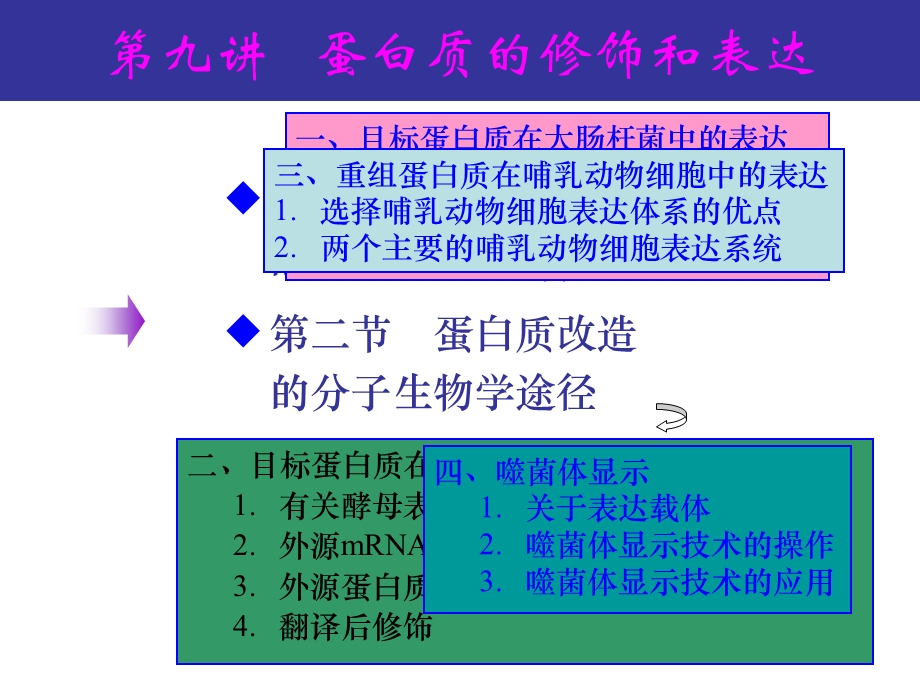 十讲蛋白质的物理化学性质分析（精品PPT） .ppt_第3页