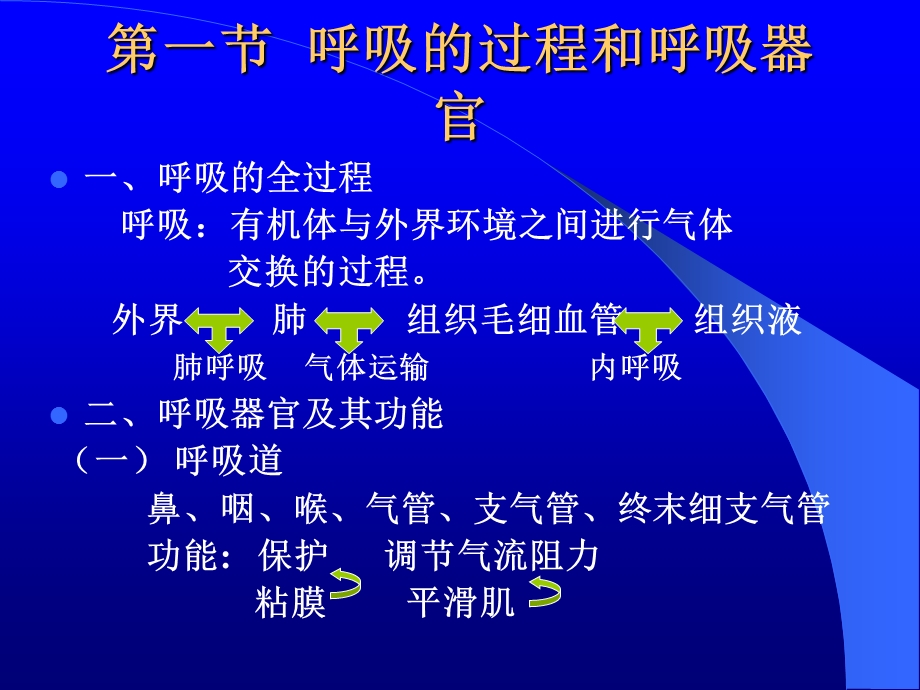 第五章呼吸系统[生理].ppt_第2页