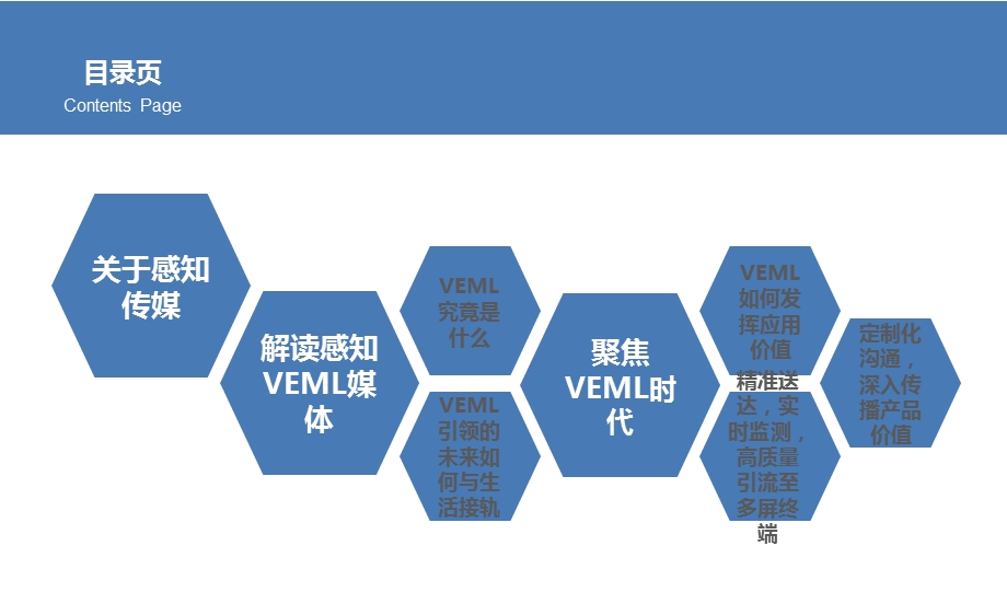 “驶向VEML时代”媒体感知策略思维分享.ppt_第2页