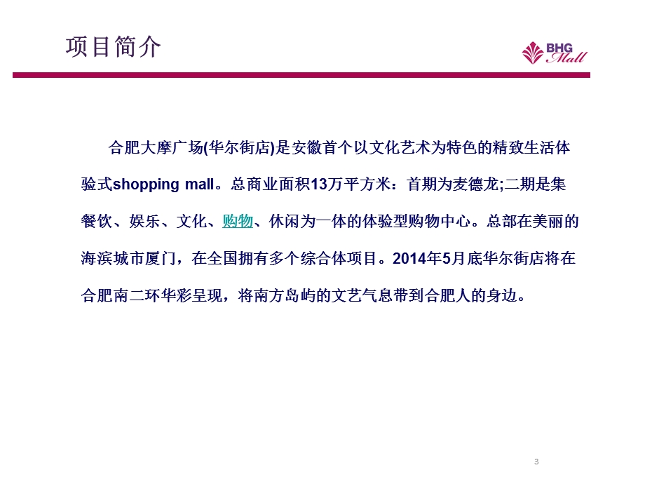 合肥大摩广场调查报告.ppt_第3页