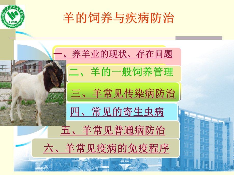 羊的饲养与疾病防治.ppt_第2页