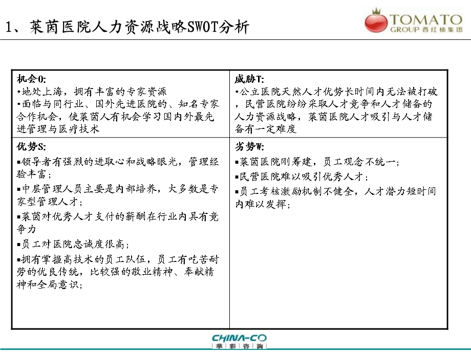 上海莱茵医院人力资源战略.ppt_第3页