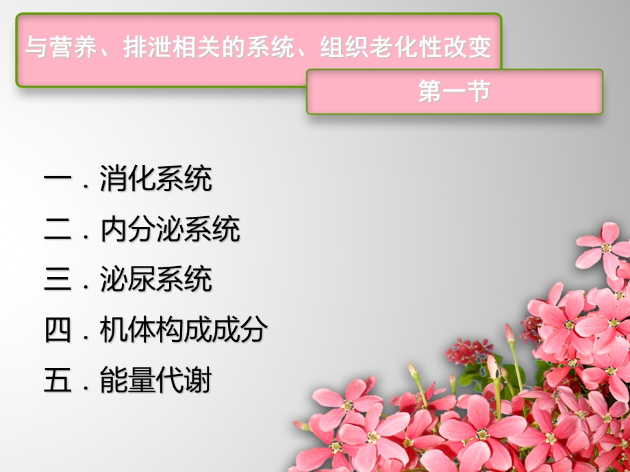 老护理第四章老人营养与排泄的护理.ppt_第2页