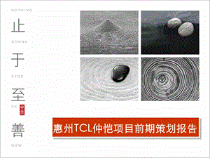 惠州TCL仲恺项目前期策划报告(225页） .ppt