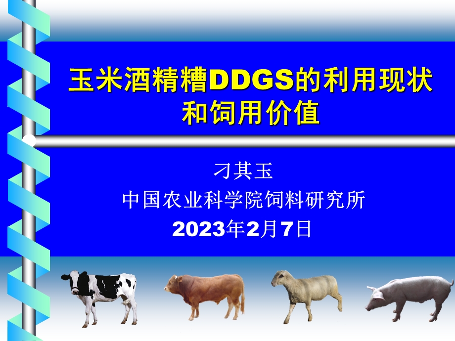 玉米酒精糟DDGS的利用现状和饲用价值.ppt_第1页