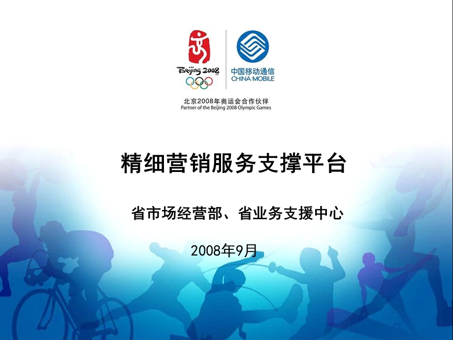 精细营销服务支撑平台创新材料.ppt_第1页