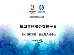 精细营销服务支撑平台创新材料.ppt