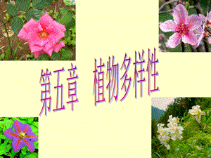 PPT5.(植物多样性).ppt.ppt