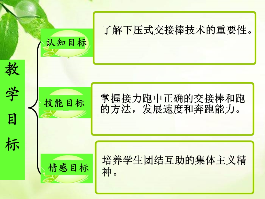 小学体育《下压式交接棒技术》说课.ppt_第2页