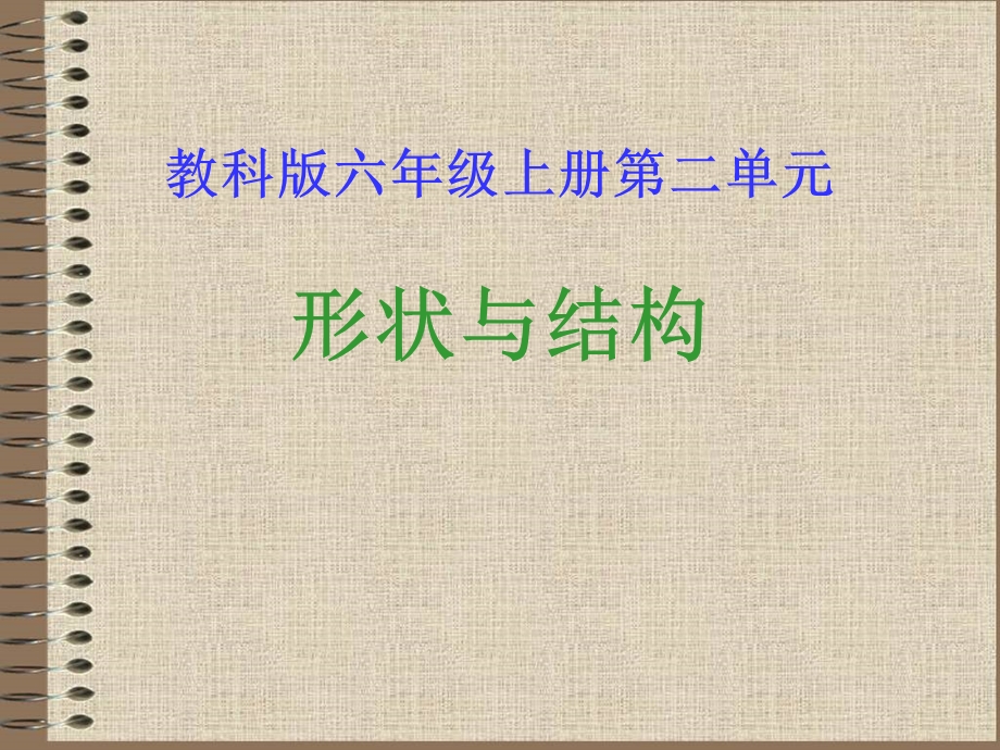 形状与结构六下科学ppt.ppt_第1页