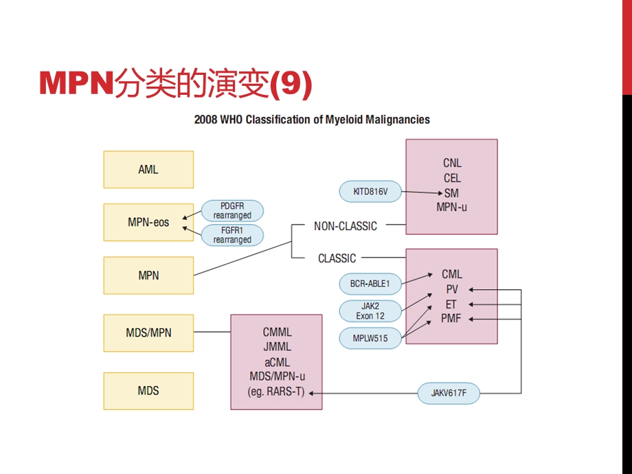 有关MPN的诊治.ppt_第3页