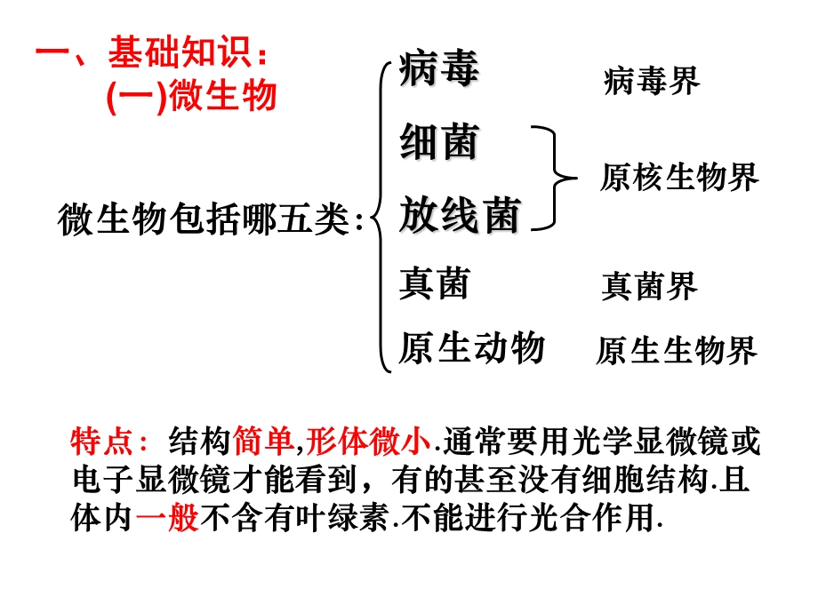 大肠杆菌的培养和分离.ppt_第3页