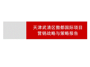 天津武清区傲都国际项目营销战略与策略报告.ppt