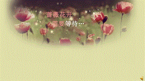 五四青节.ppt.ppt