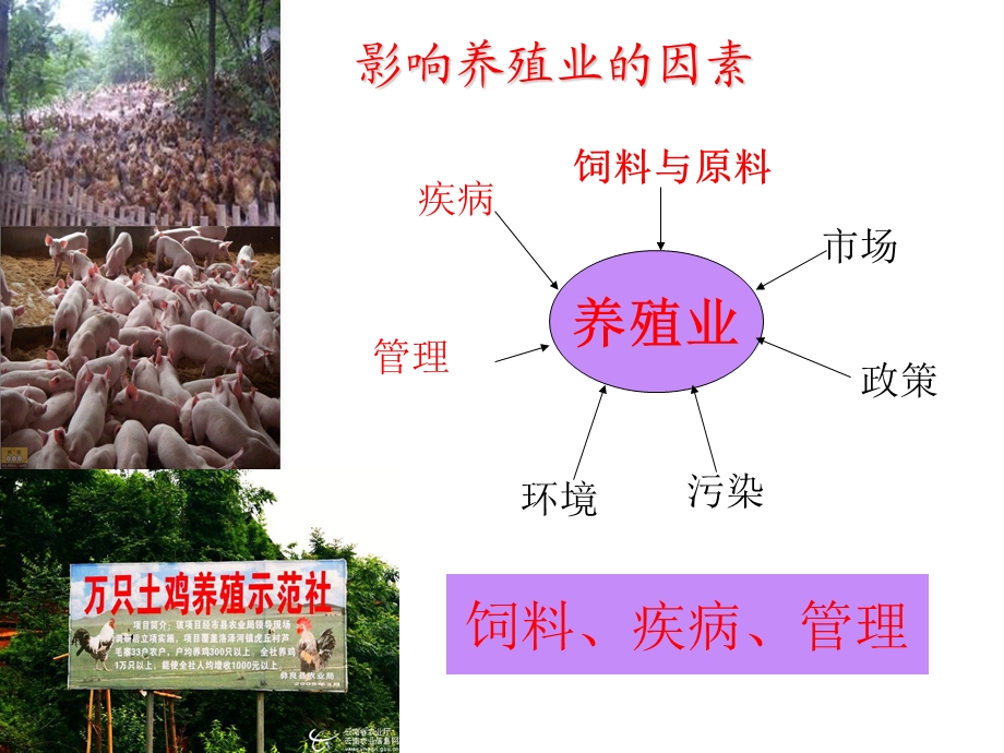 关注肠道健康.ppt_第3页