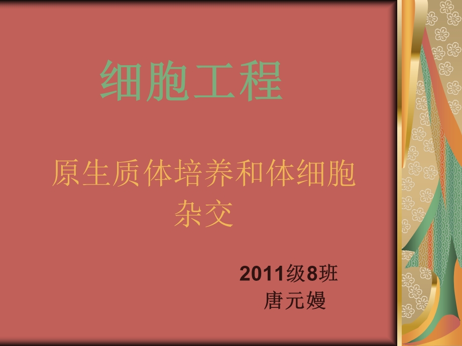 细胞工程PPT.ppt_第1页