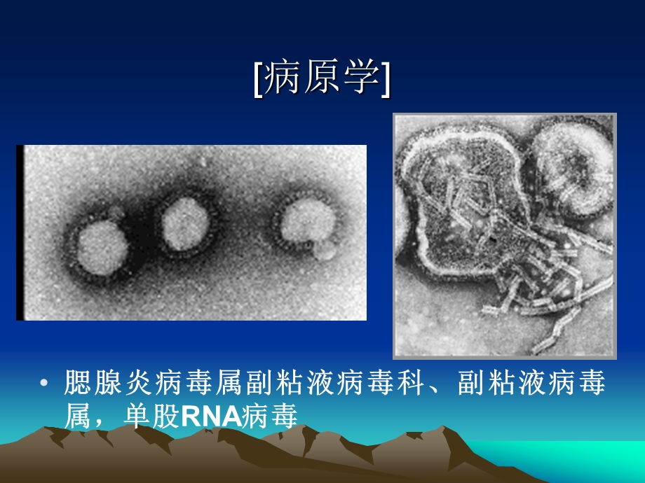 流行性腮腺炎幻灯.ppt_第3页