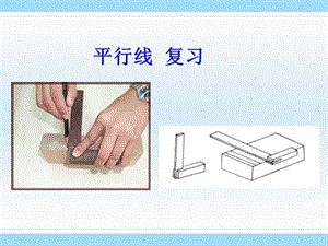 初中数学课件《平行线》 .ppt