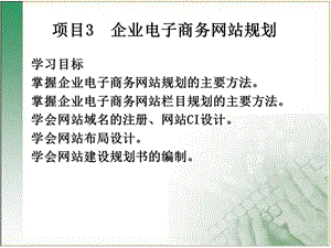 项目3企业电子商务网站规划.ppt