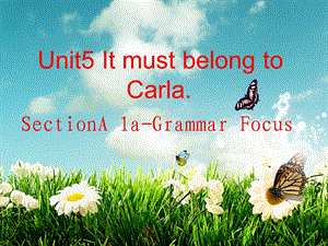 人教版新目标初中英语九级英语《Unit 5 It must belong to Carla》精品课件.ppt