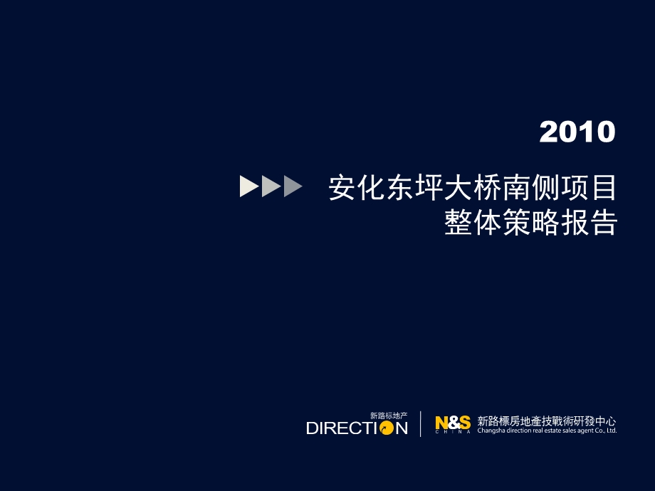 安化东坪大桥南侧项目整体策略报告96p.ppt_第1页