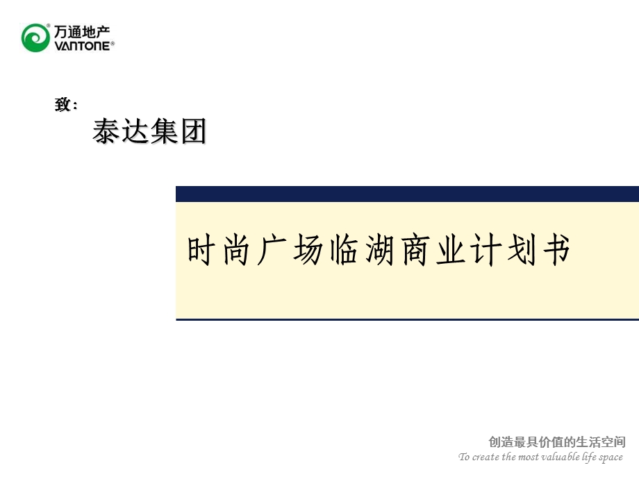 临湖商业计划书n.ppt_第1页