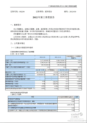 威华股份：第三季度报告正文.ppt