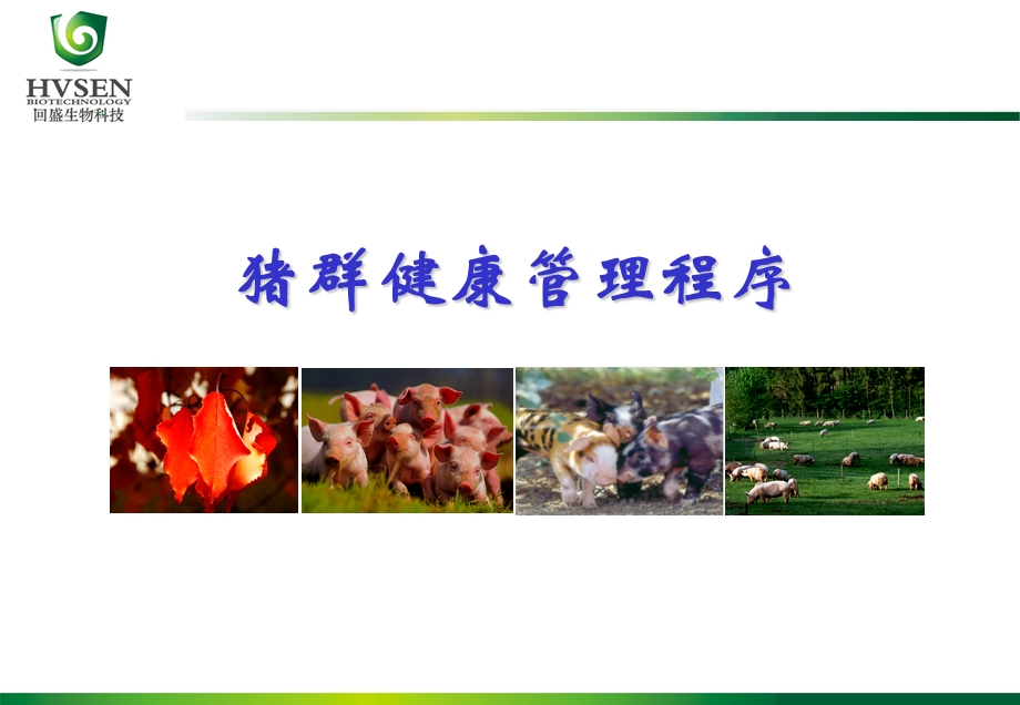 猪群保健程序.ppt_第1页