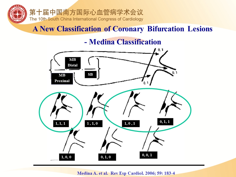 分叉病变介入技巧.ppt_第3页