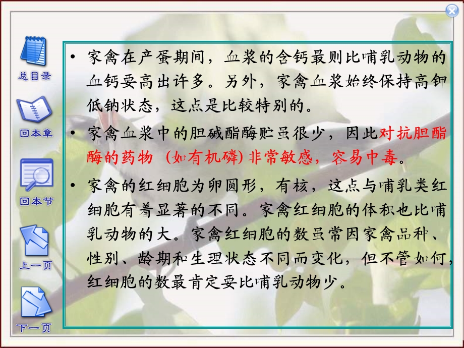 家禽的早期胚胎发育.ppt_第3页